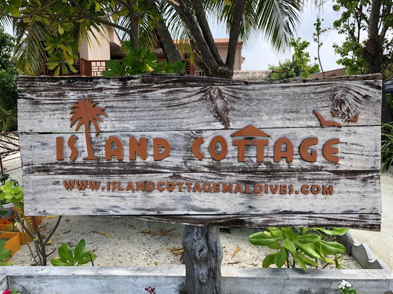 Island Cottage Maafushi Zewnętrze zdjęcie